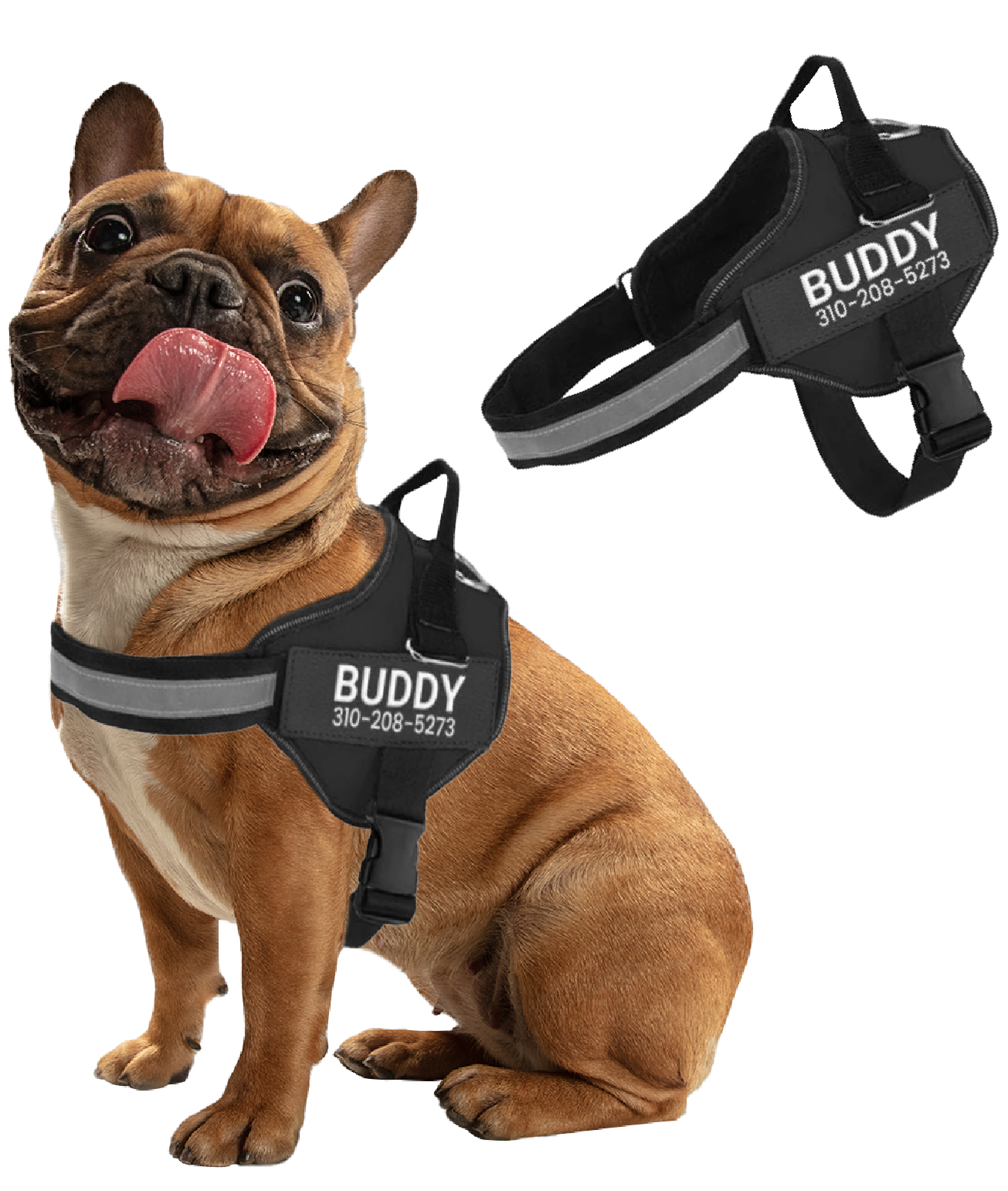 Real simple dog harness on sale